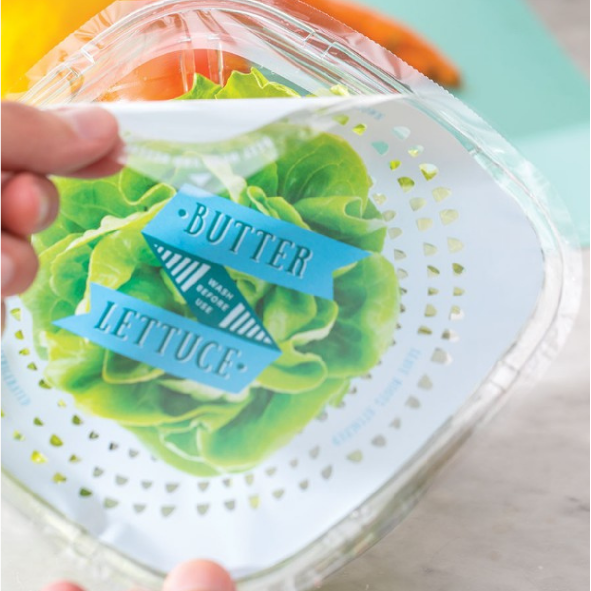 Understanding Blister Packaging: Types, Applications, and Benefits