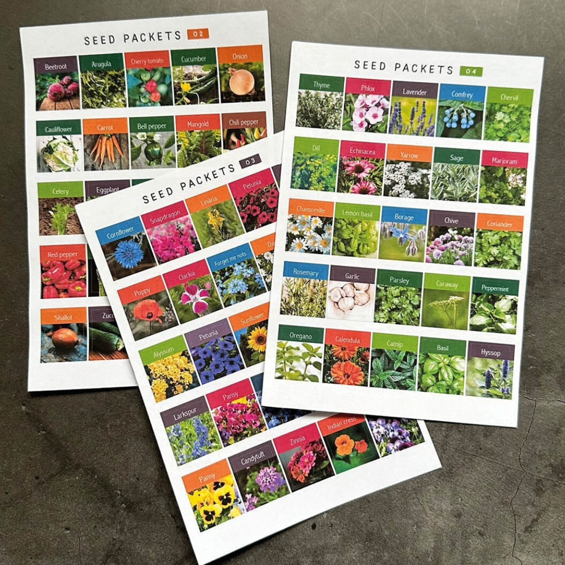 How to Use Seed Packet Stickers: DIY, Printable, and Creative Ideas